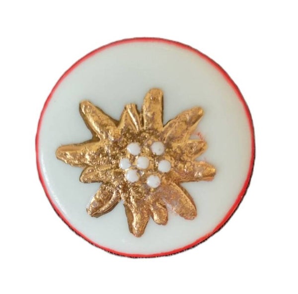 Ovale Brosche mit Edelweiss-Relief in Gold