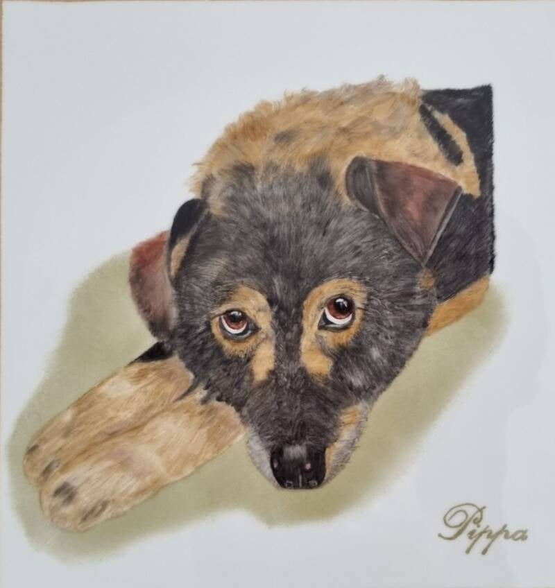 Handgemaltes Hundeportrait auf Porzellan – Tiermalerei eines Hundes namens Pippa