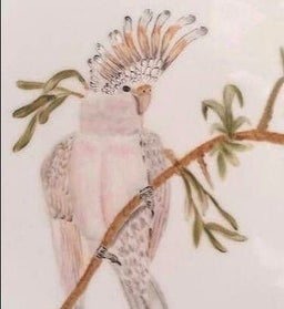 Ein Porzellanteller zeigt einen farbenfrohen Inka-Kakadu. Das Motiv wurde detailreich per Hand gemalt.