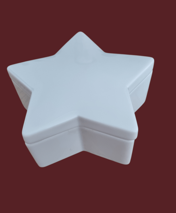 Stern Porzellandose mit Deckel | Einzelstück