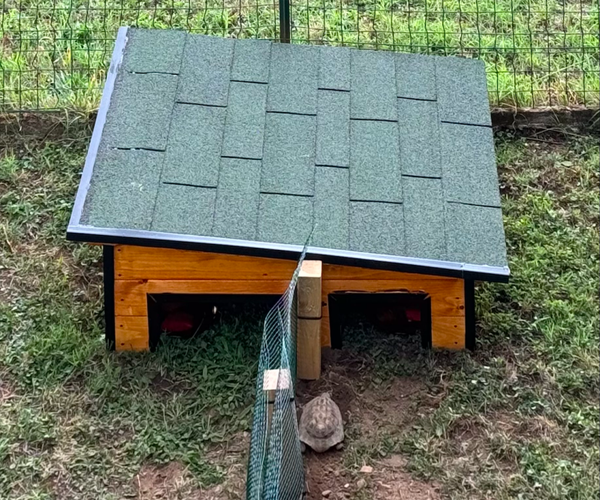 Casetta Grande per tartarughe