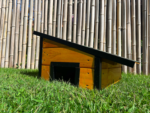 Casetta Piccola per Tartarughe