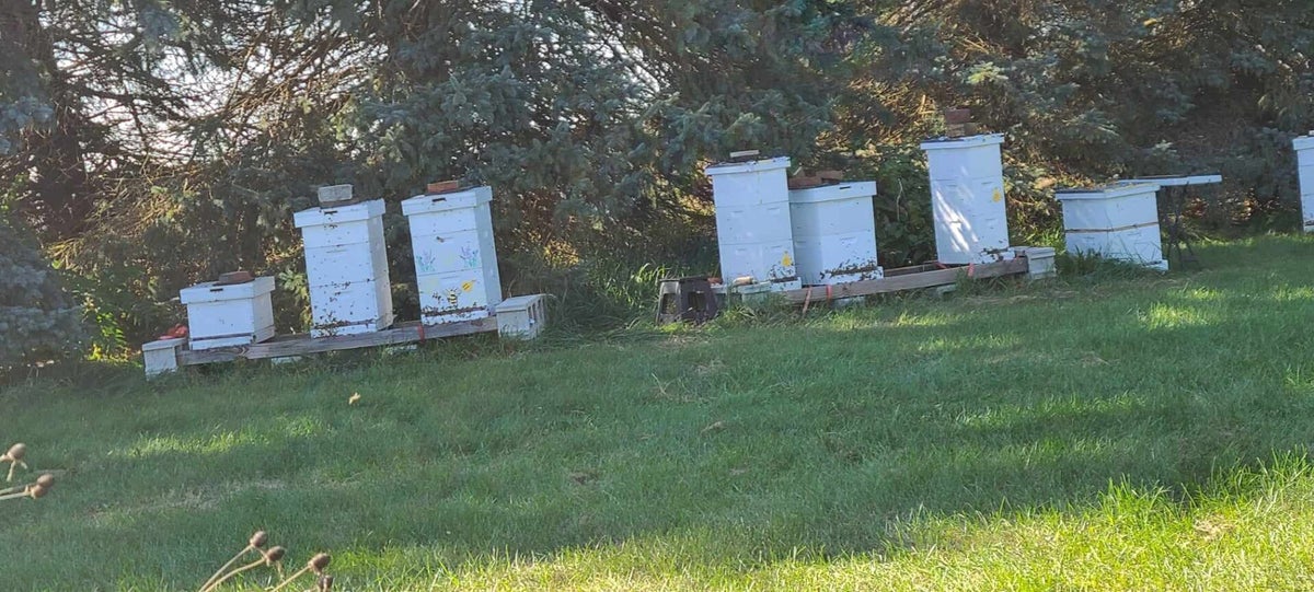 Contact Kindred Country Farms