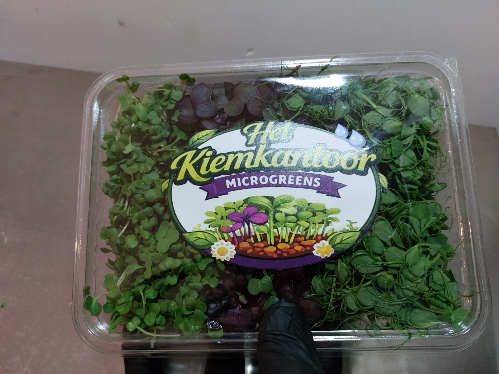 De ultieme gezondheidsmix! (broccoli, erwt en radijs)