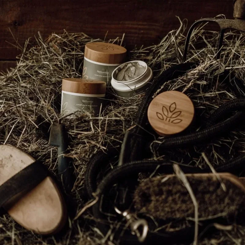 CATAPLASME RÉPARATEUR - 200 GR