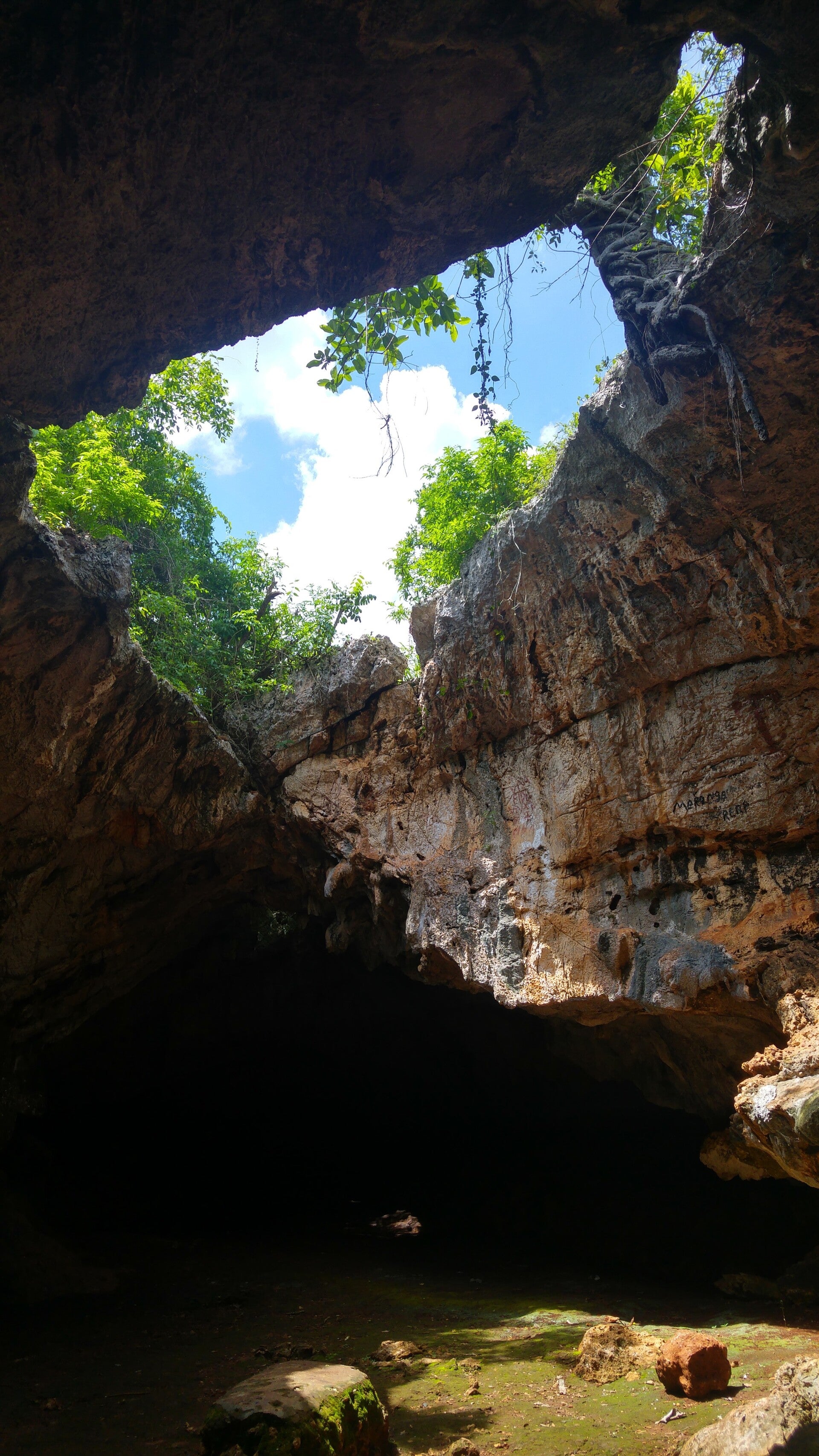 20180529_112739_hdr-standard.jpg