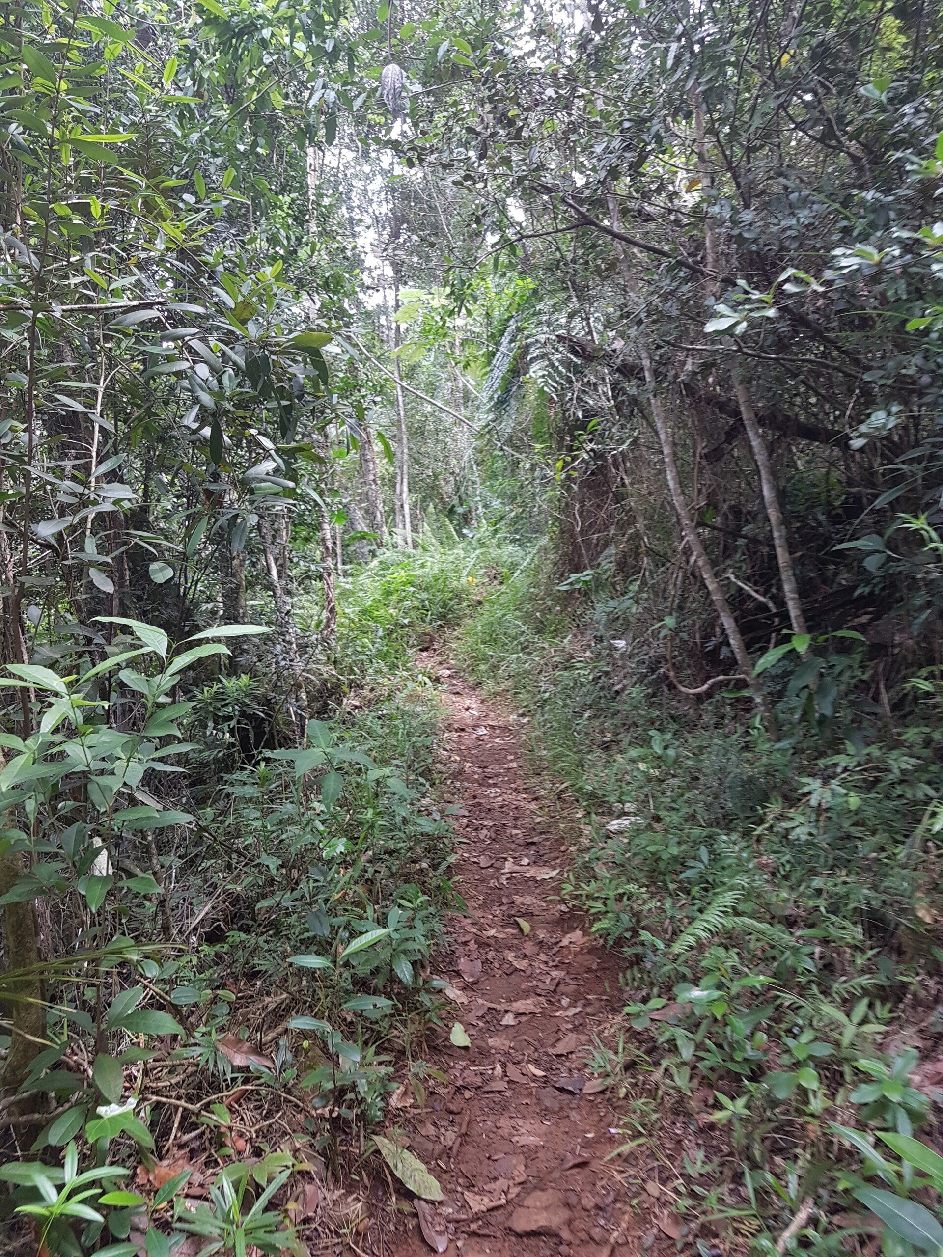 20190922_115738-standard.jpg