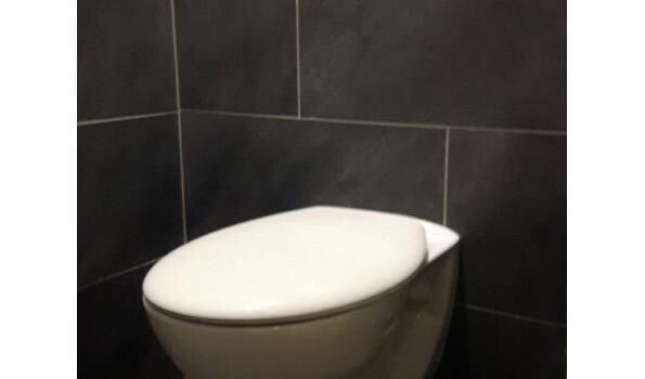 hangtoiletten-standard.jpg