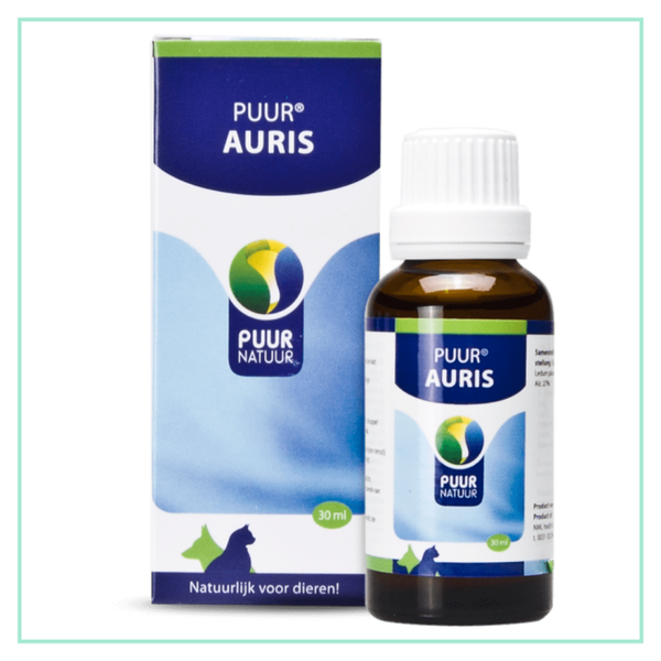 Puur Auris / Oor
