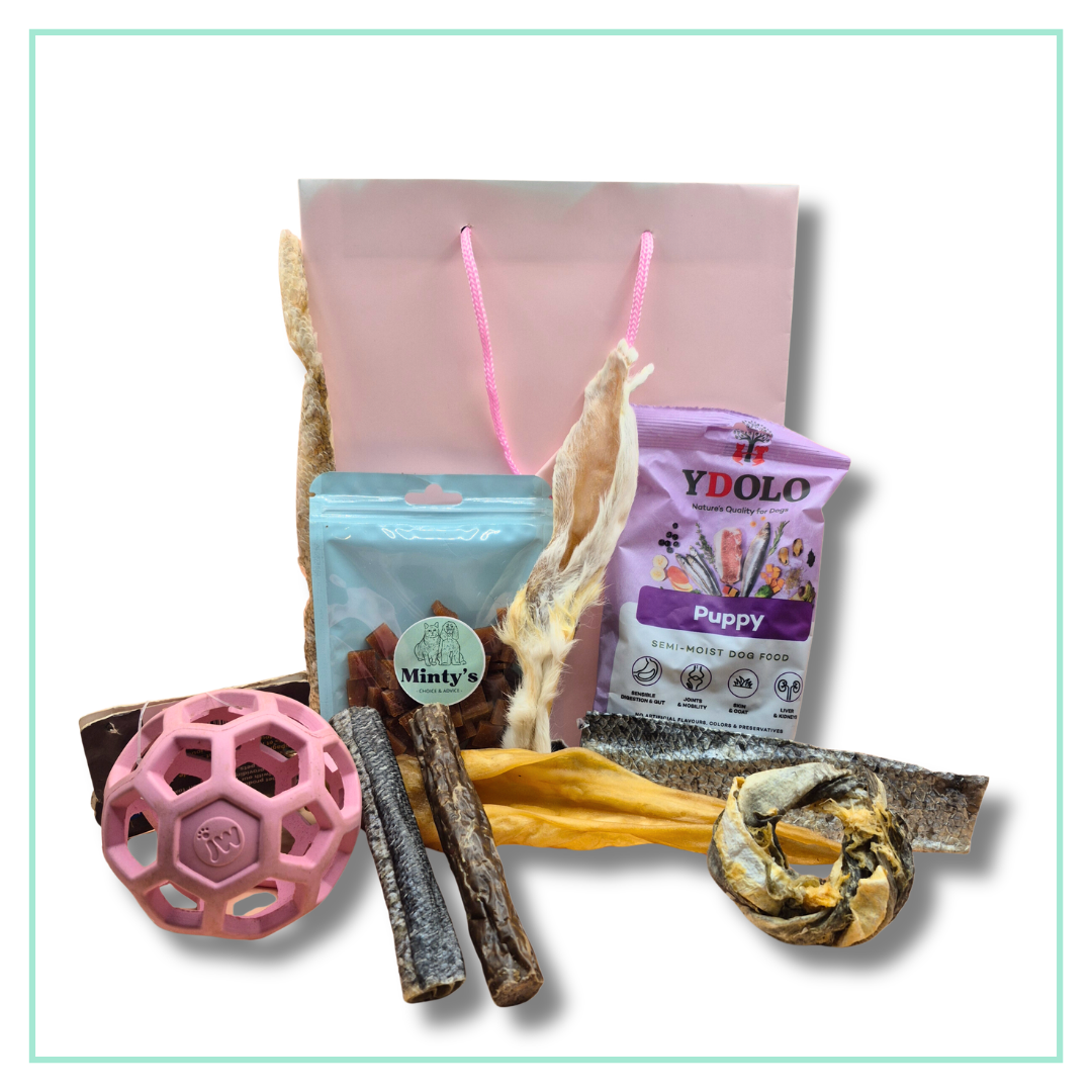 Puppypakket met natuurlijke snacks