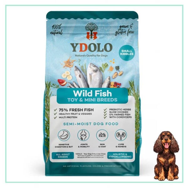 YDOLO Healthy & Pure Wild Fish MINI