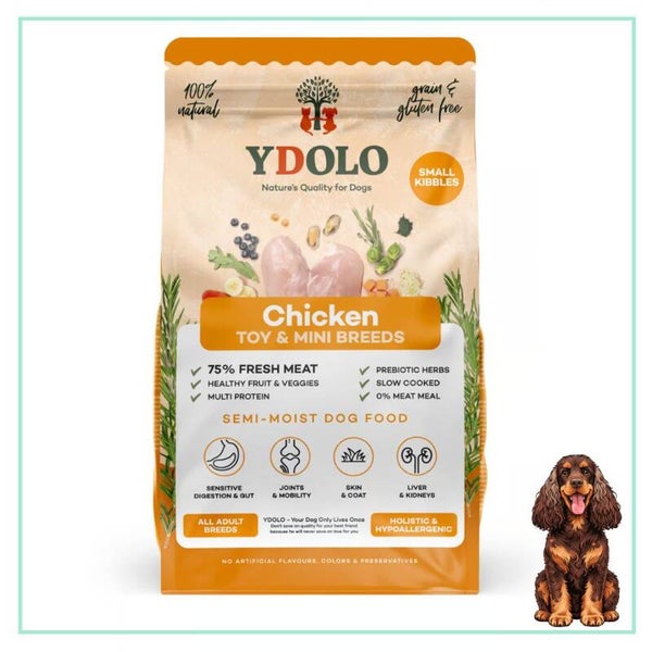 YDOLO Healthy & Pure Chicken MINI
