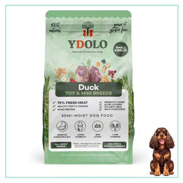 YDOLO Healthy & Pure Duck MINI