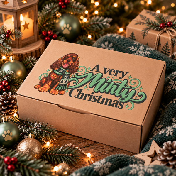 Pre-order! A Very Minty Christmas
