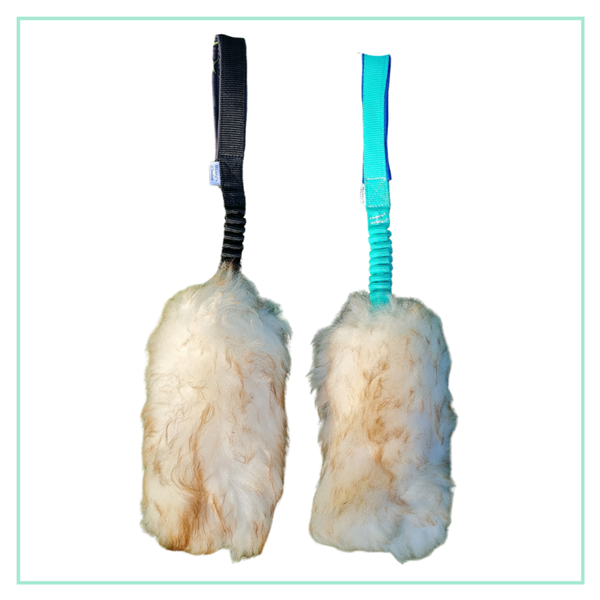 Sheep Whisperer (Moufflon)