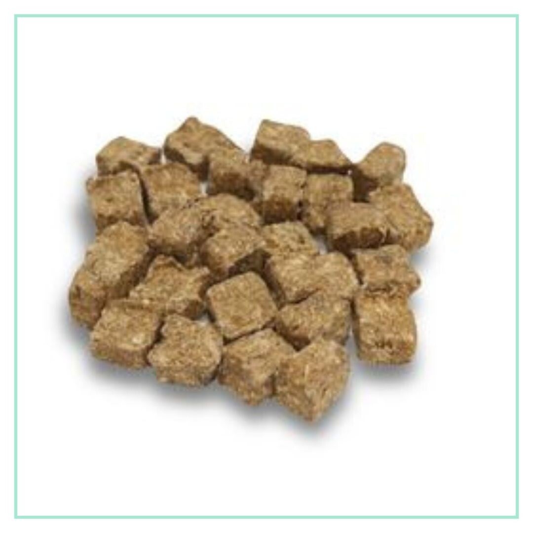 Visblokjes | Garnaal