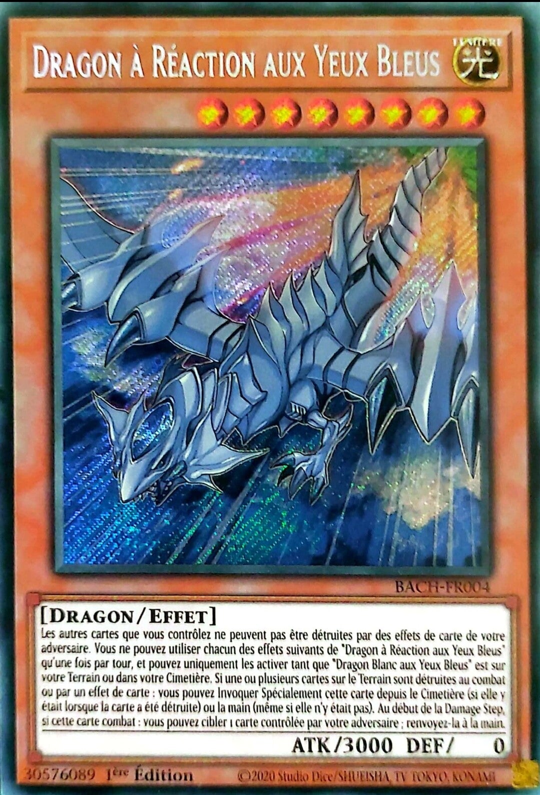 Dragon à Réaction Aux Yeux Bleus