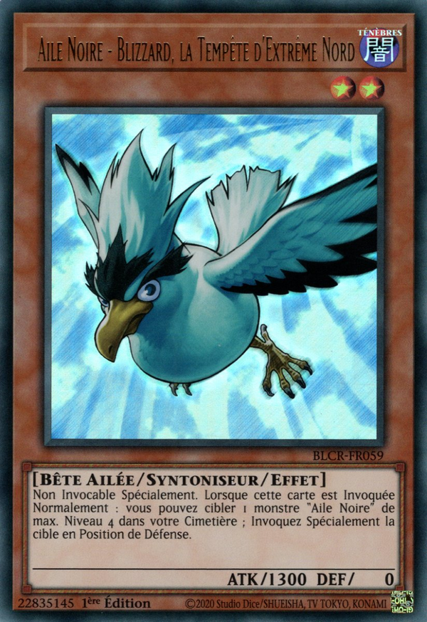 Aile Noire - Blizzard, la Tempête d'Extrême Nord