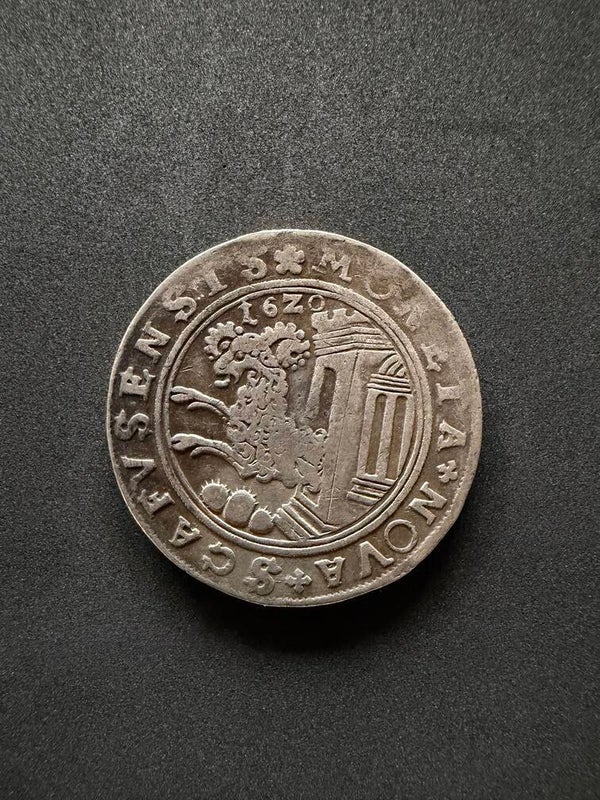 Schaffhausen Taler 1620 (3)