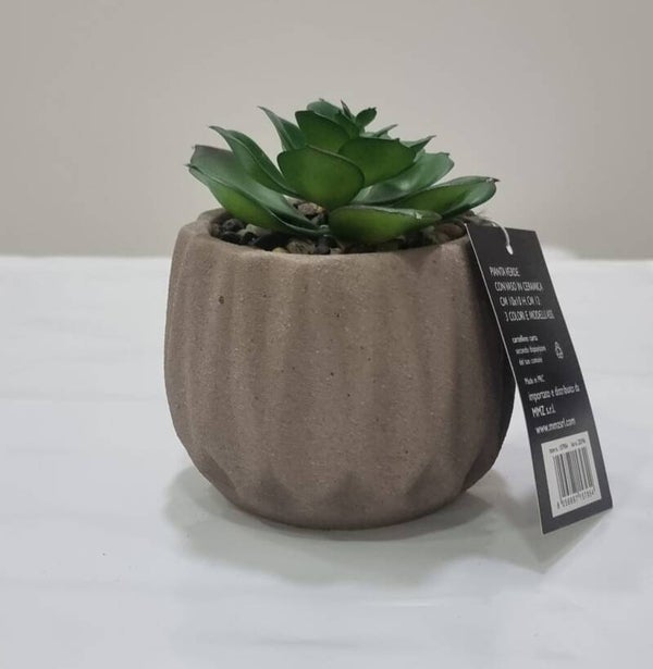 Vaso finta pianta grassa