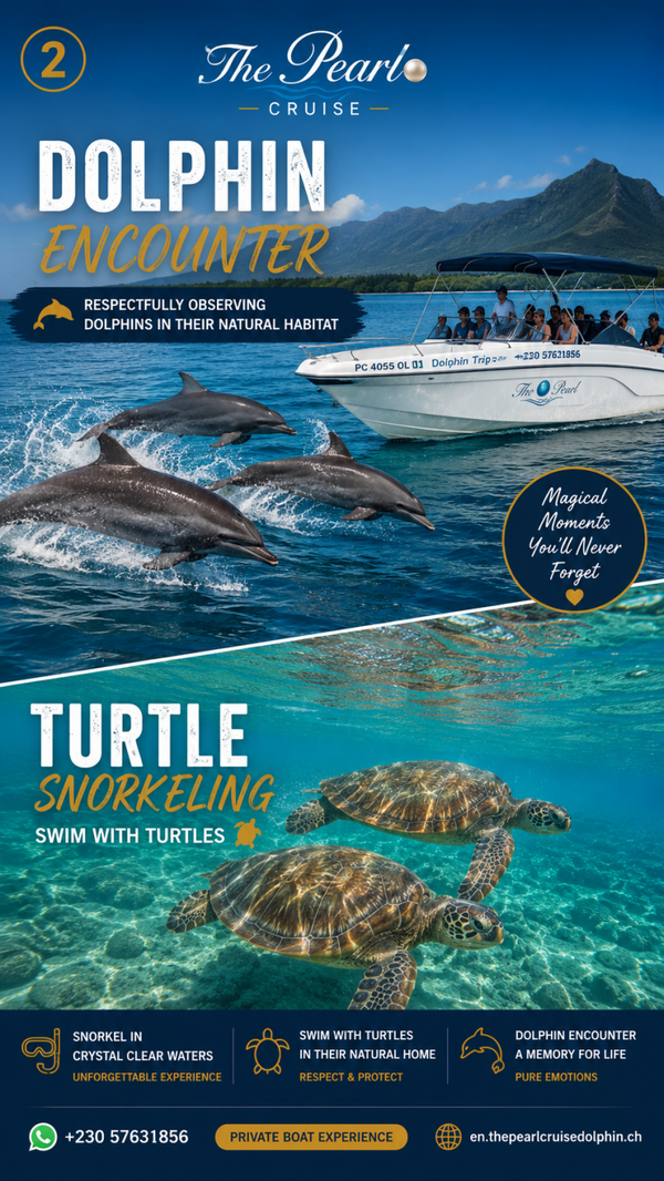 Private Half-Day Boat Excursion