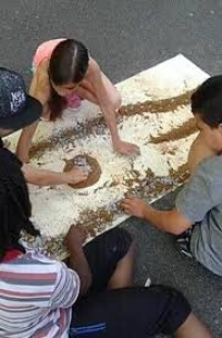 Formateur Nature & EEDD