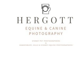 Hergott Photography