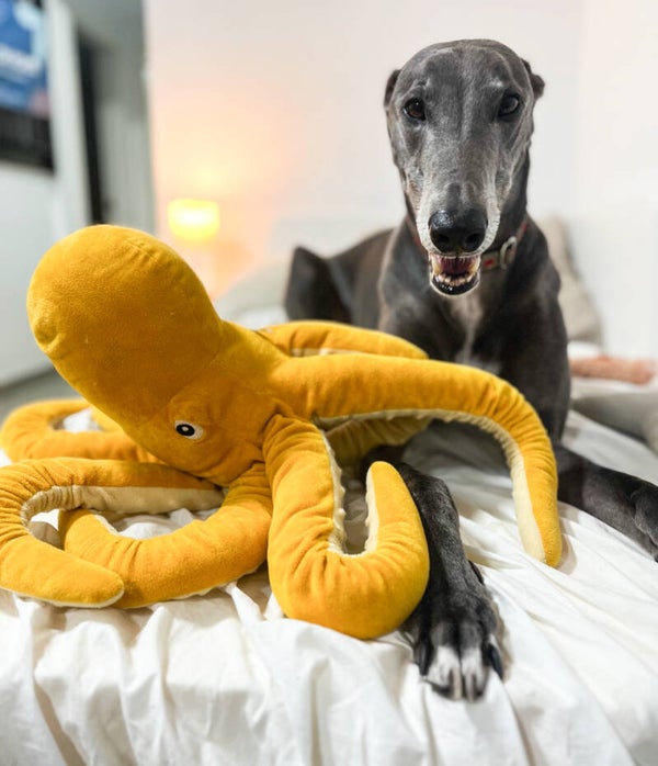 Marcus - 4 years old