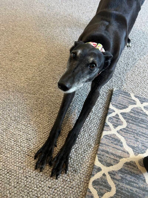 Lucy - 6 years old