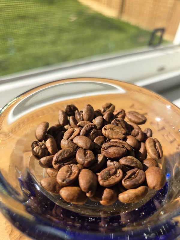 Ethiopia (Sidamo)