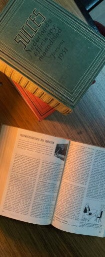 Succes boek | 13