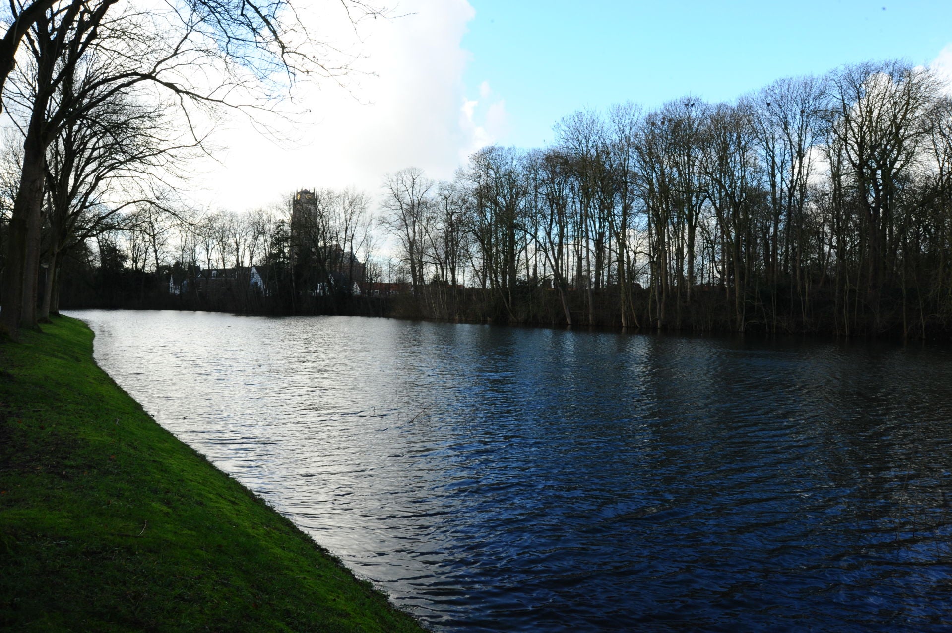 Copyright: Berta A. Daniels (USA)