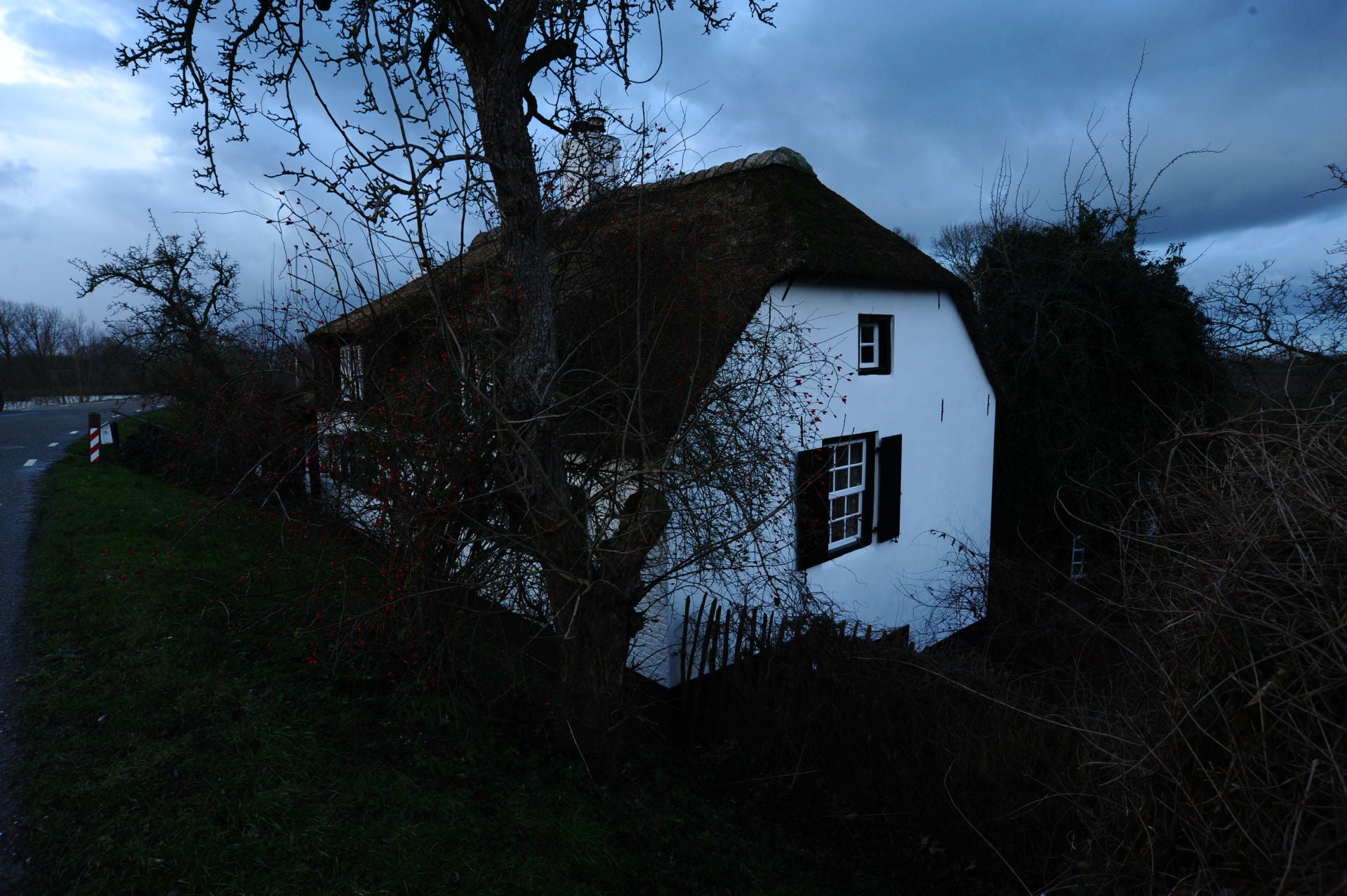 Copyright: Berta A. Daniels (USA)