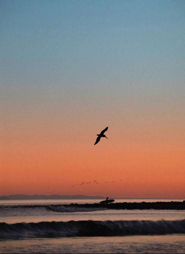 Himalayan Fortune Telling - Year Advice