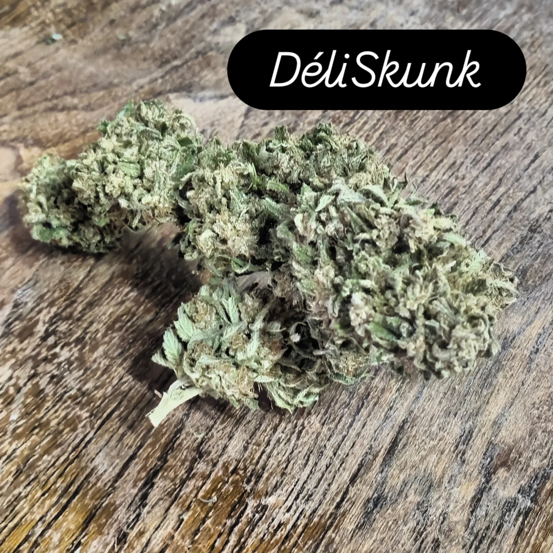 DéliSkunk