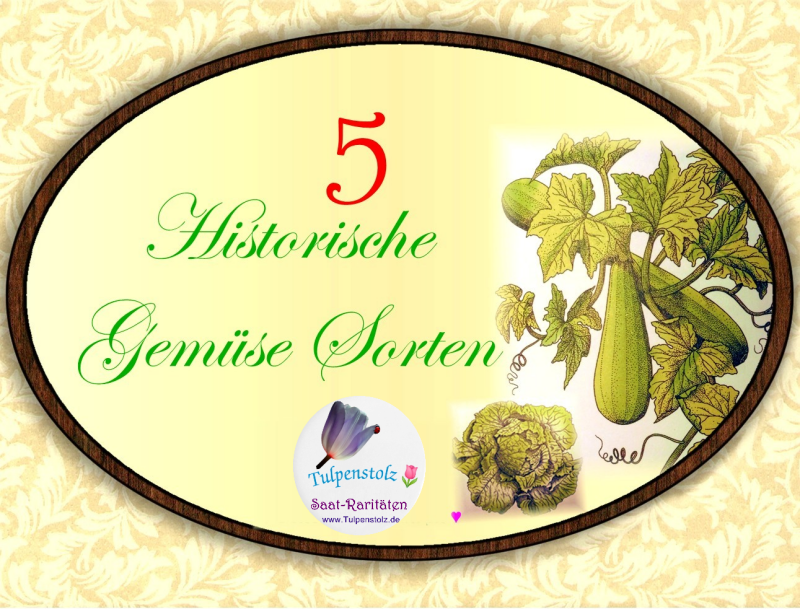5-historische-gem-sesorten-bild-collage-logo-tulp-aufkleber-standard-rh4hep.png