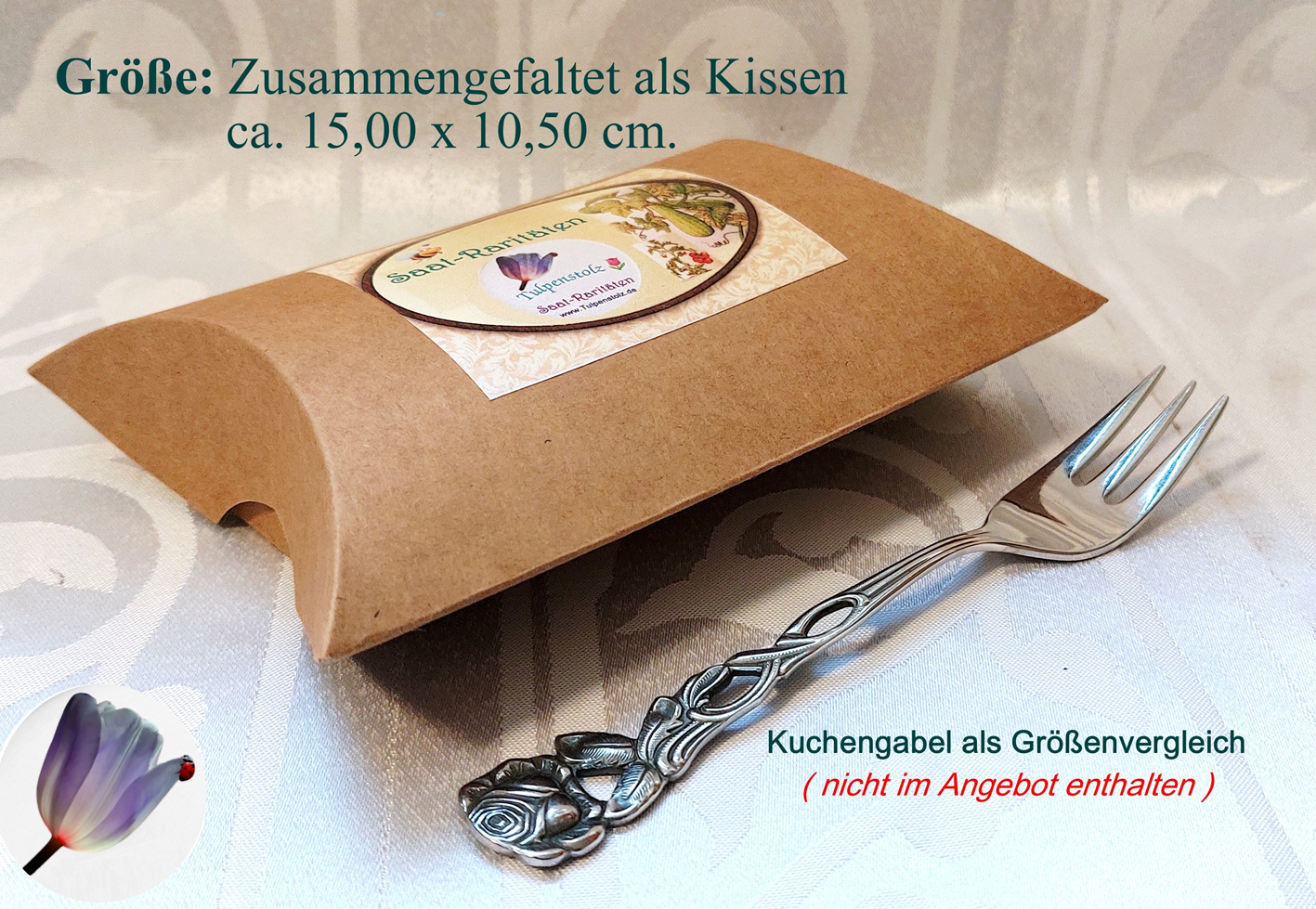5-saat-rarit-ten-faltkarton-kissen-gr-sse-ma-e-bearb-12-standard-c3sbwa.png