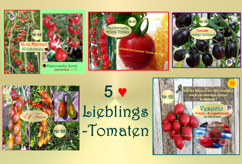 Set Lieblings Tomaten Tulpenstolz Saatraritäten