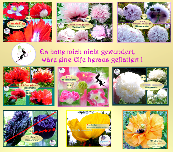 💮 Riesenmohne & Co