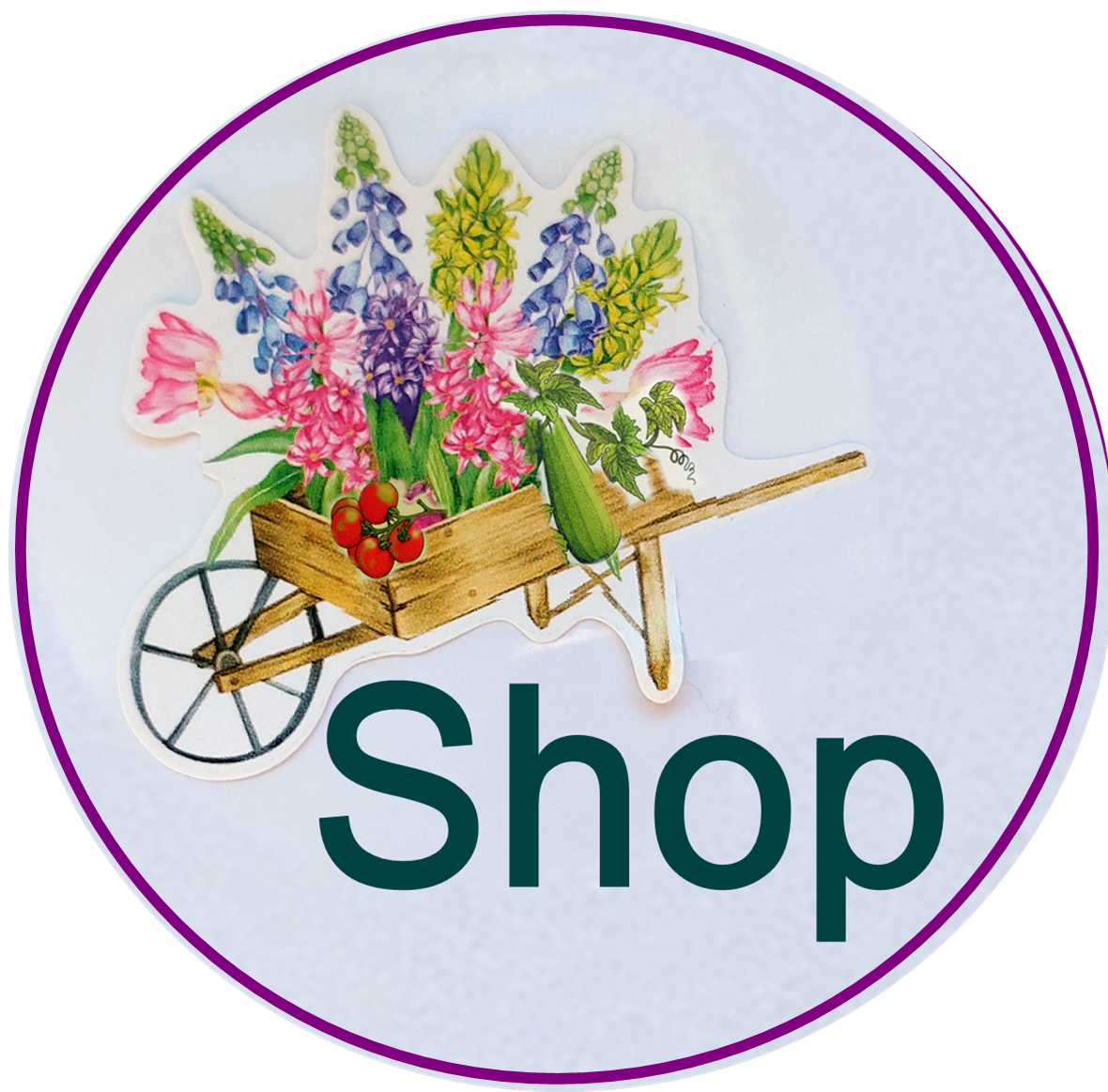 shop Tulpenstolz Saatraritäten Alte Salate 