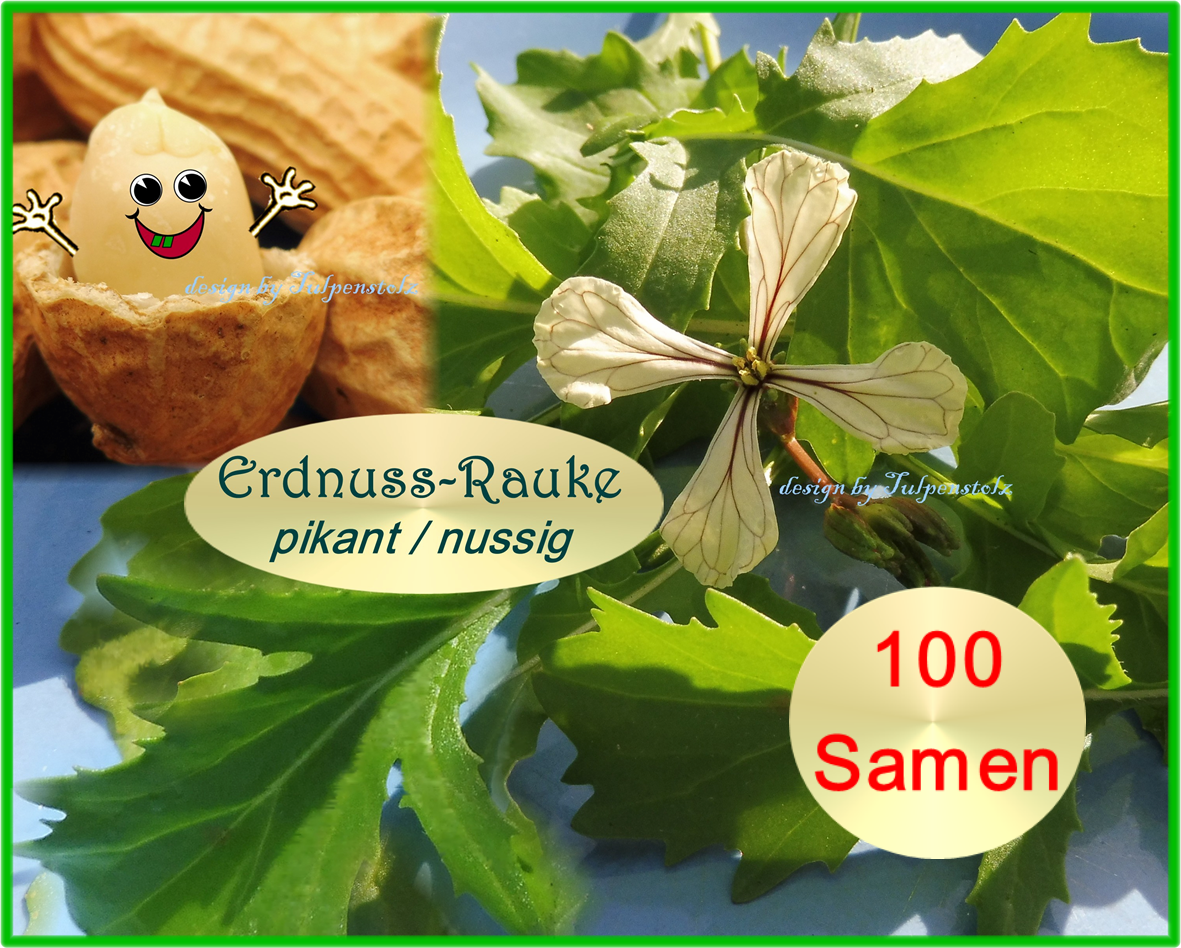 Rucola Erdnuss-Rauke