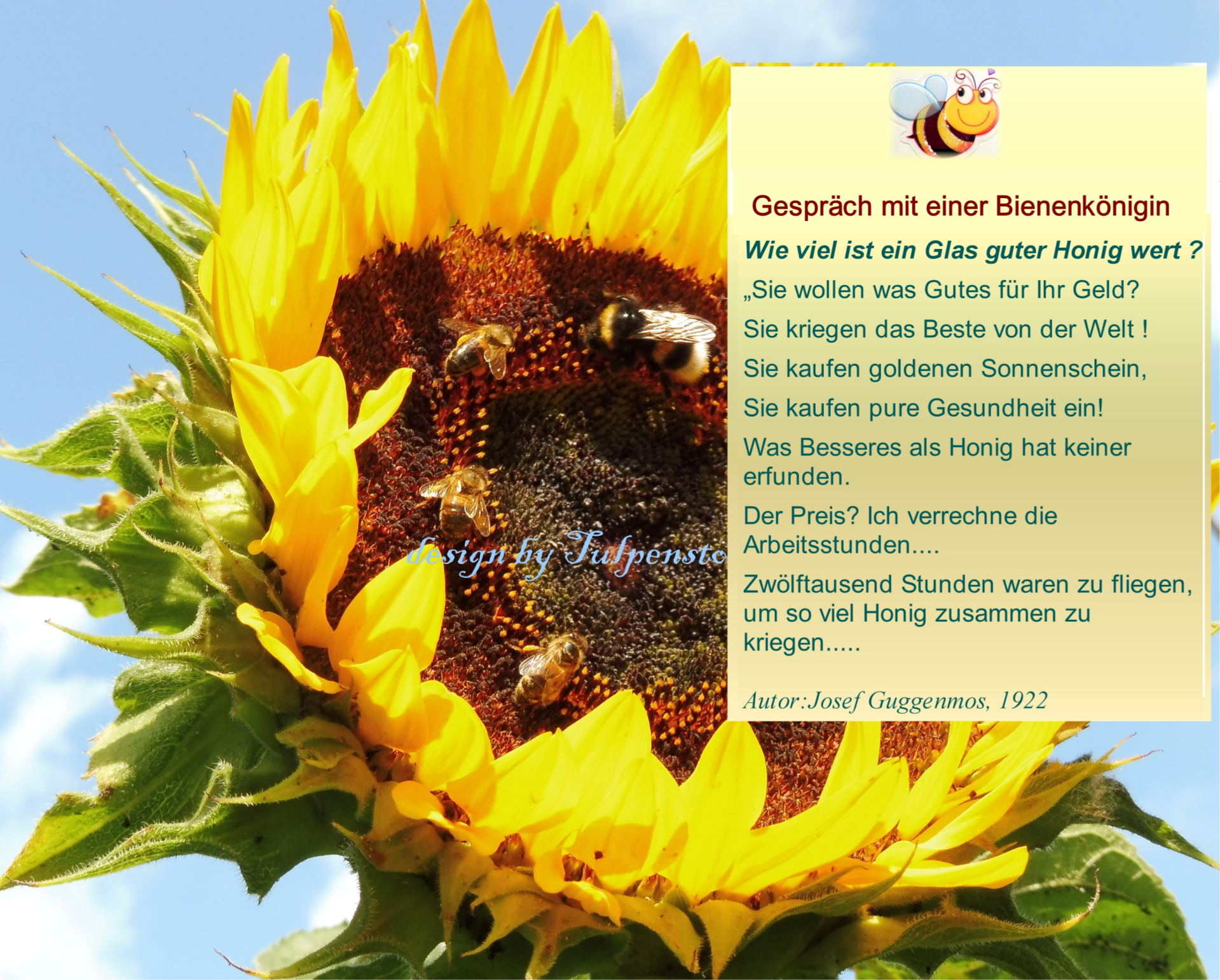 Bienenweide Nektar Pollen Sonnenblume alte Sorten Tulpenstolz Saratowskie Atlanta Arikarra Indianer 