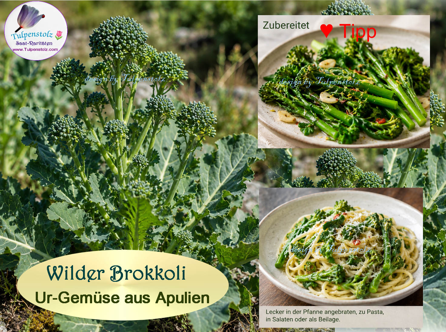Wilder Brokkoli