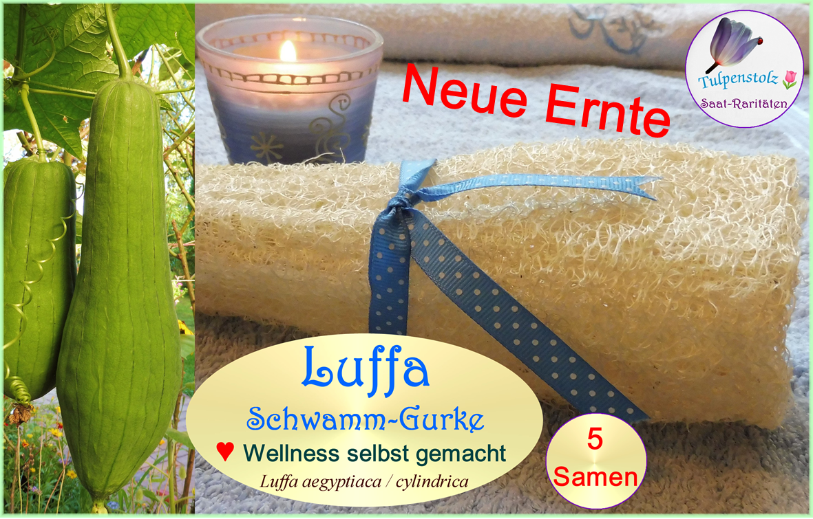 Luffa Schwammgurke 5 Samen