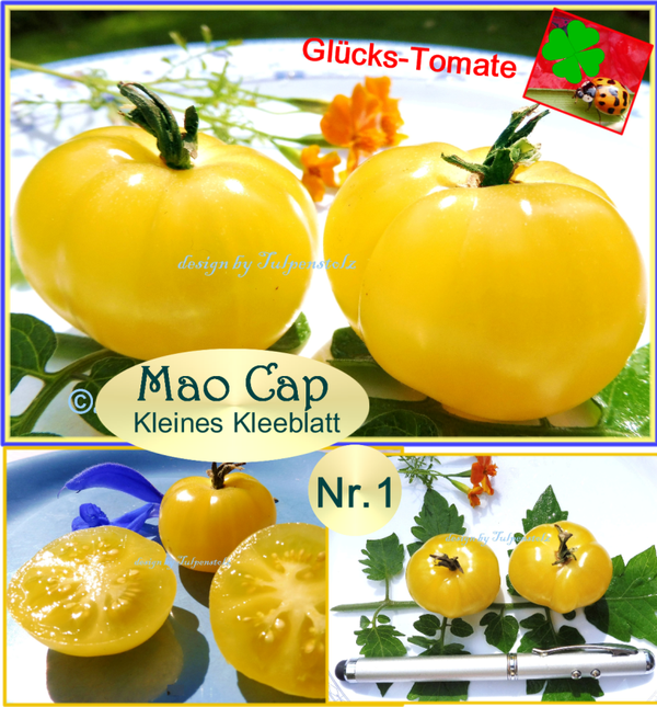 🍅 Tomaten Raritäten