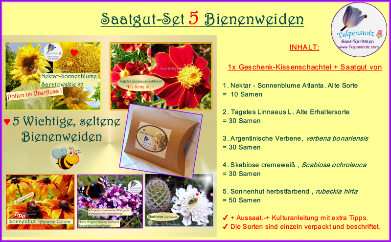Wichtige Bienenweiden heimisch Tulpenstolz Set Blumen 