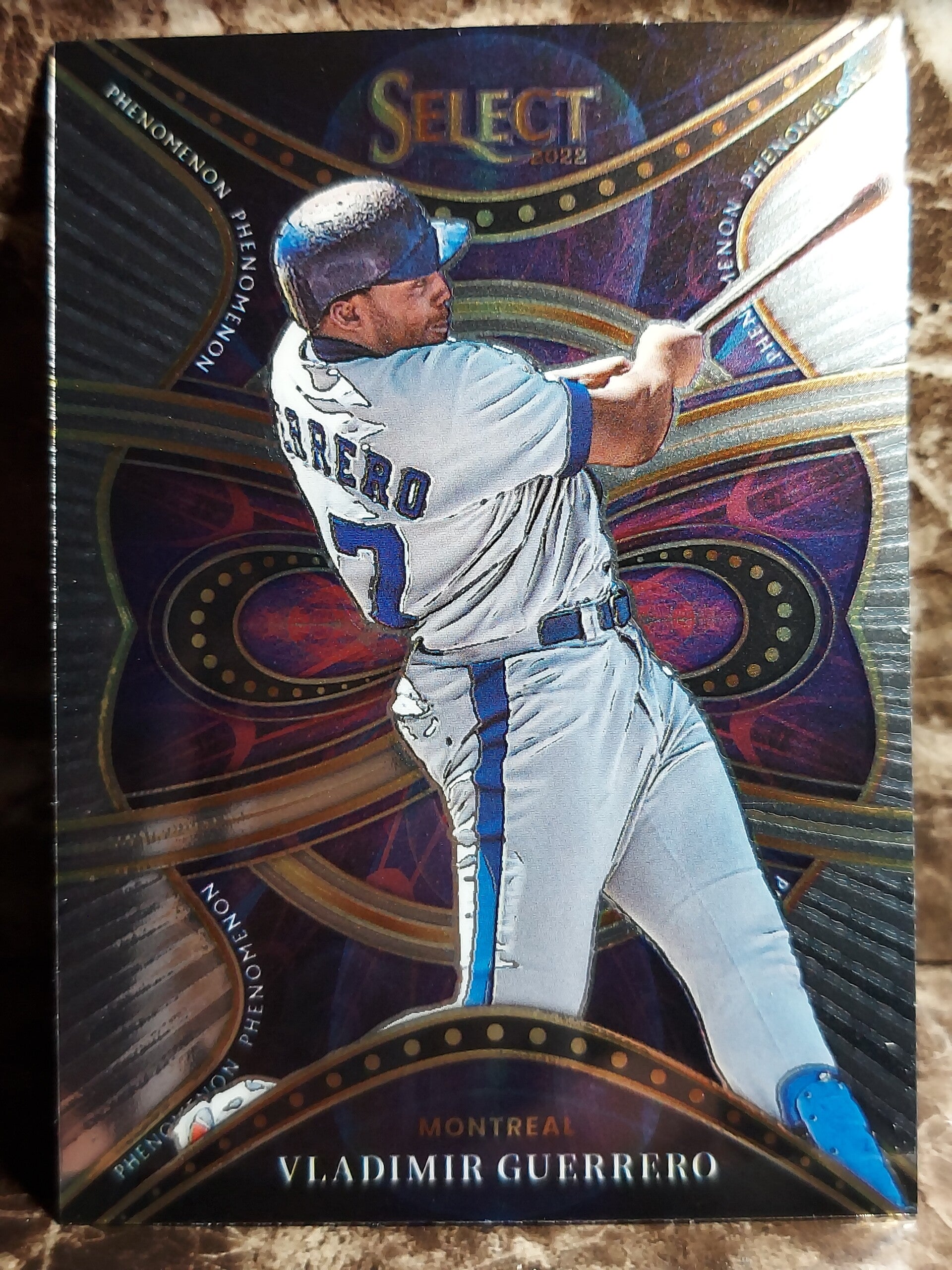 Vladimir Guerrero  2022 Select #10