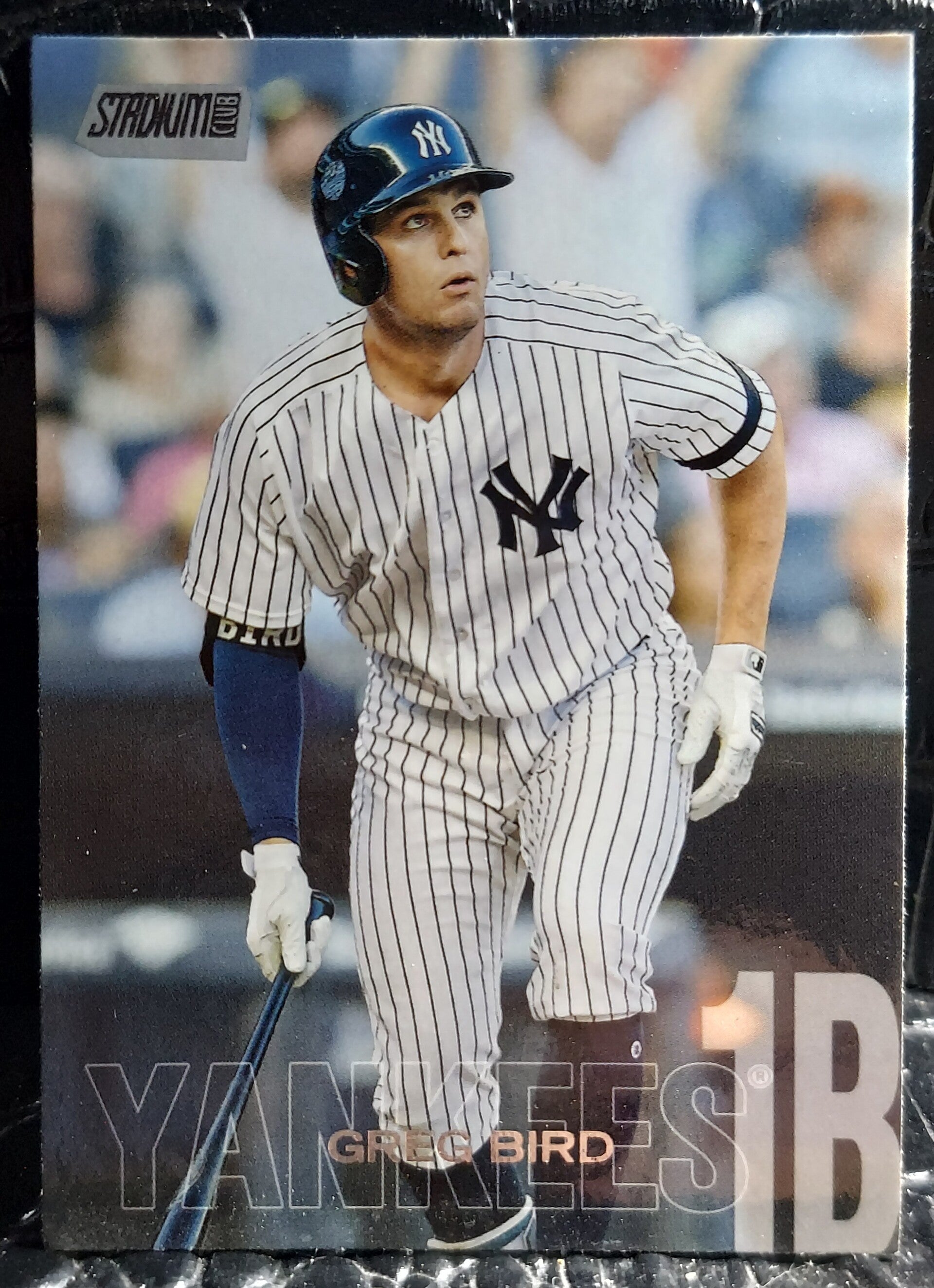 Greg Bird 2018 Stadium Club #186 New York Yankees