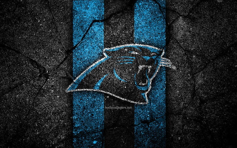 hd-wallpaper-carolina-panthers-logo-black-stone-nfl-nfc-american-football-usa-art-asphalt-texture-south-division-standard.jpg