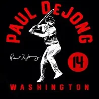 paul-dejong-washington-nationals-mlb-baseball-high-standard.webp